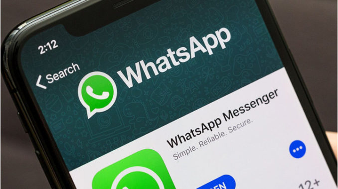 Why would you recommend WhatsApp Business for your organization?